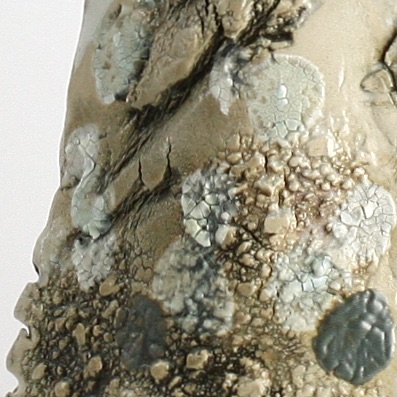 textures et émaux lichen Triglav